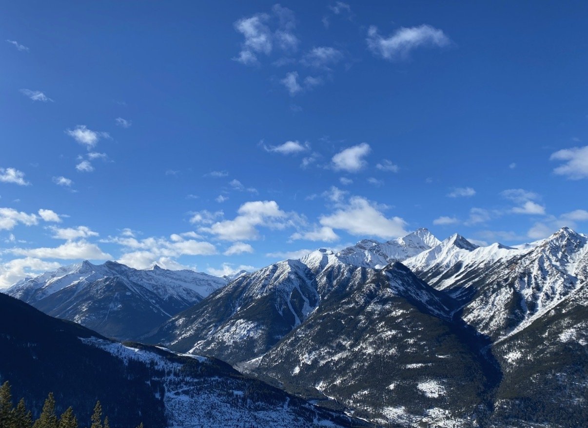 Panorama BC, Real Estate