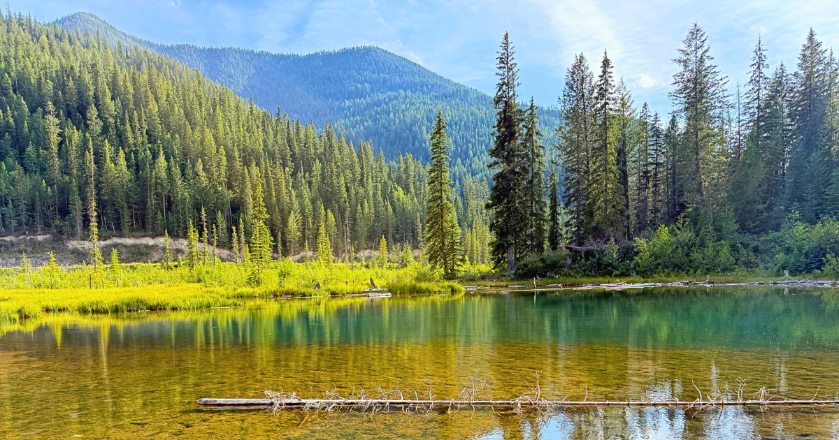 The Columbia Valley