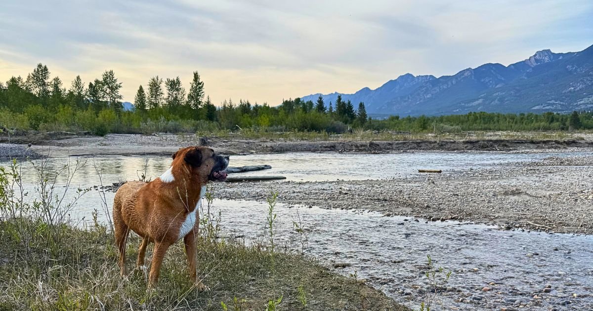 Invermere, BC